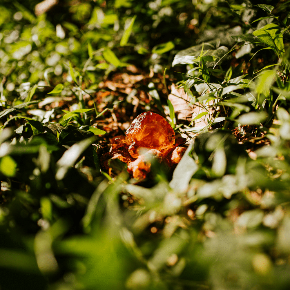 Fotografia da campanha de lançamento imobiliário do Ambar